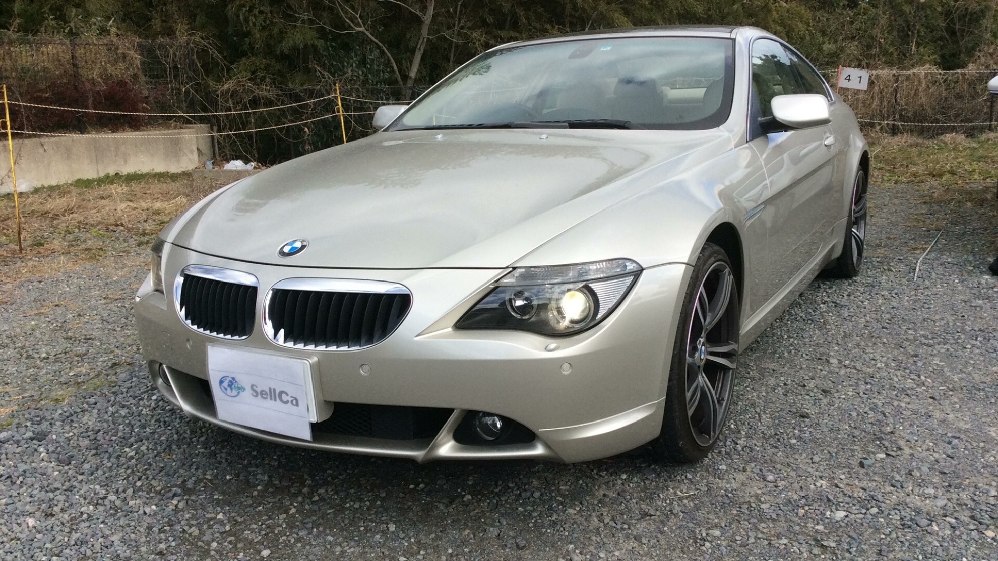 ＢＭＷ ６シリーズの売買実績画像