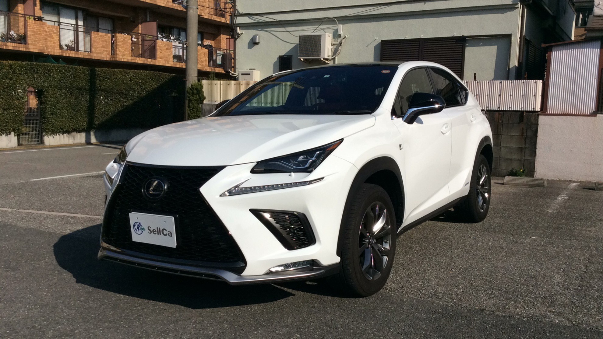 レクサス ＮＸの売買実績画像