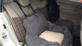 内装後方シート