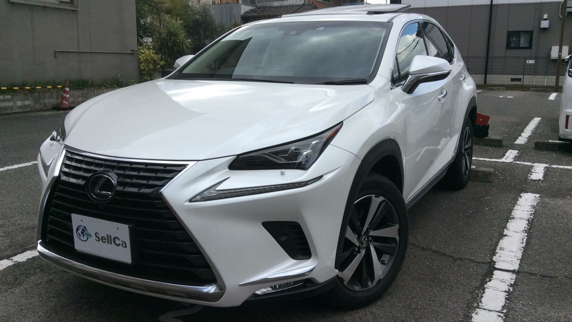 レクサス ＮＸの売買実績画像