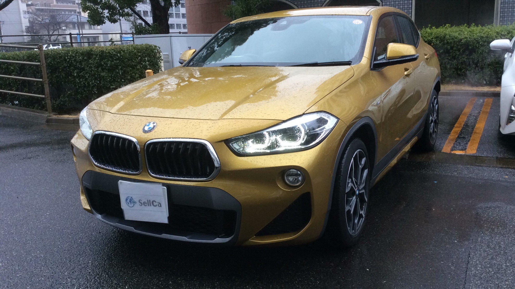 ＢＭＷ Ｘ２の売買実績画像