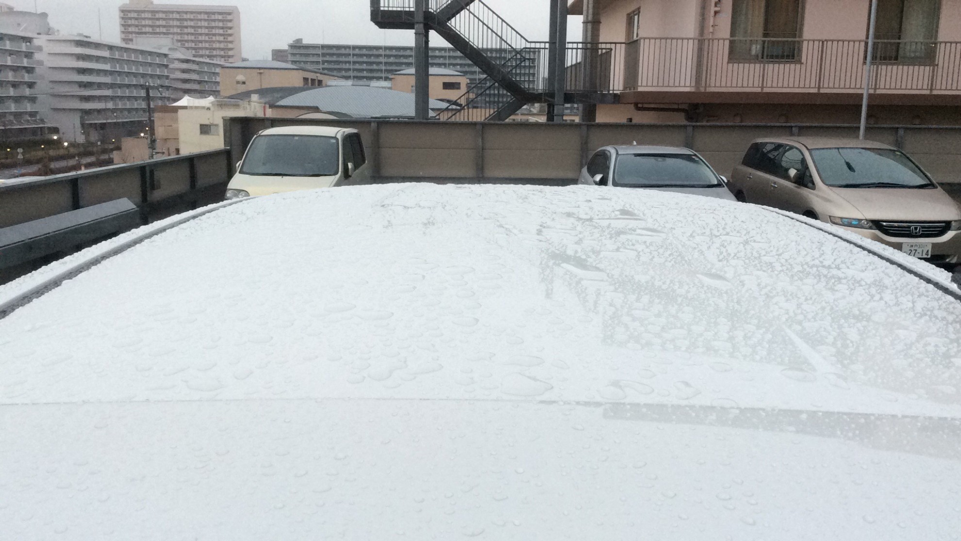 正面ルーフ