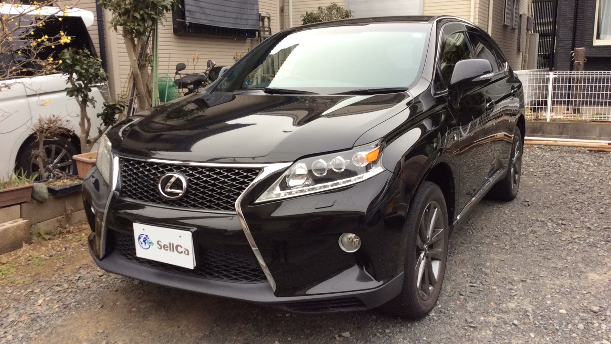 レクサス ＲＸの売買実績画像