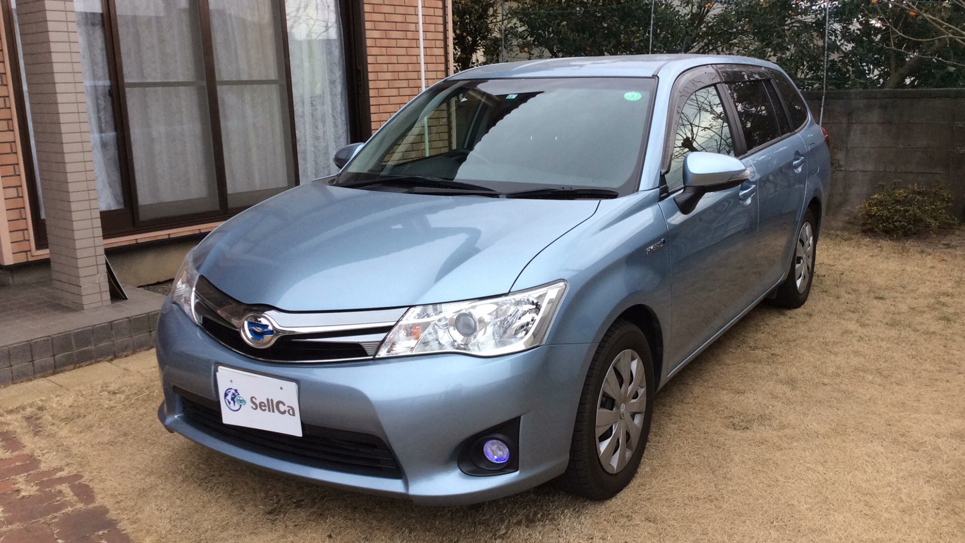 トヨタ カローラフィールダーの売買実績画像