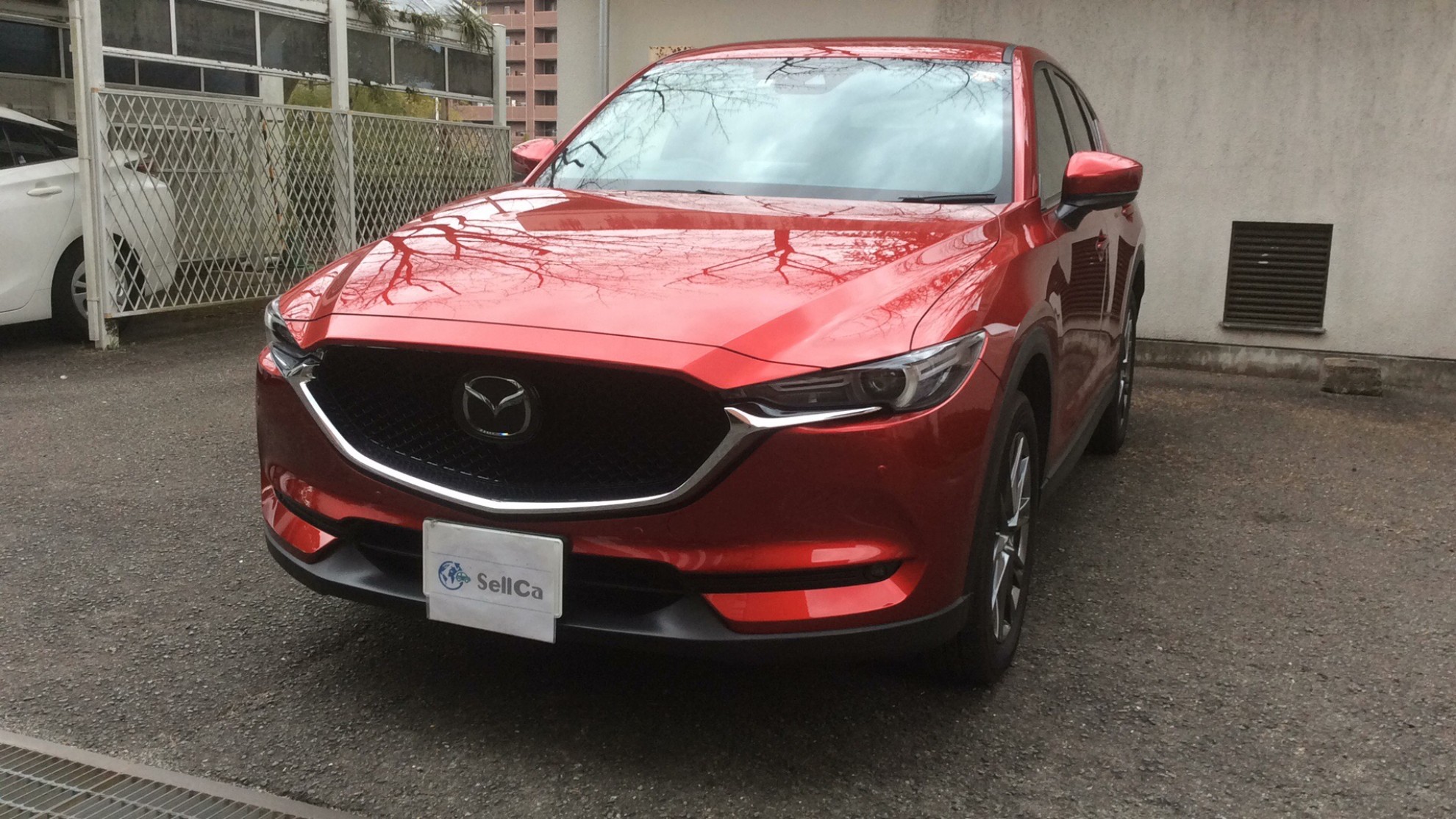 マツダ ＣＸ－５の売買実績画像