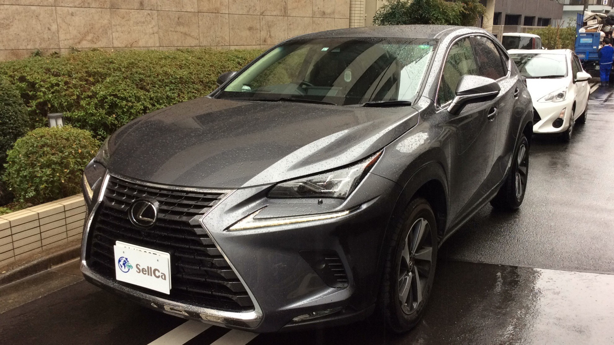 レクサス ＮＸの売買実績画像