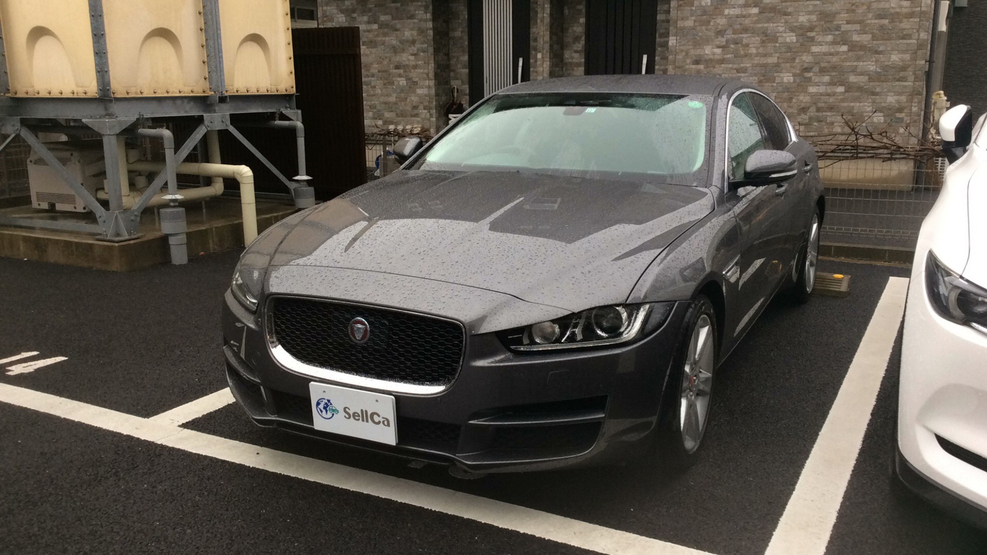 ジャガー ＸＥの売買実績画像