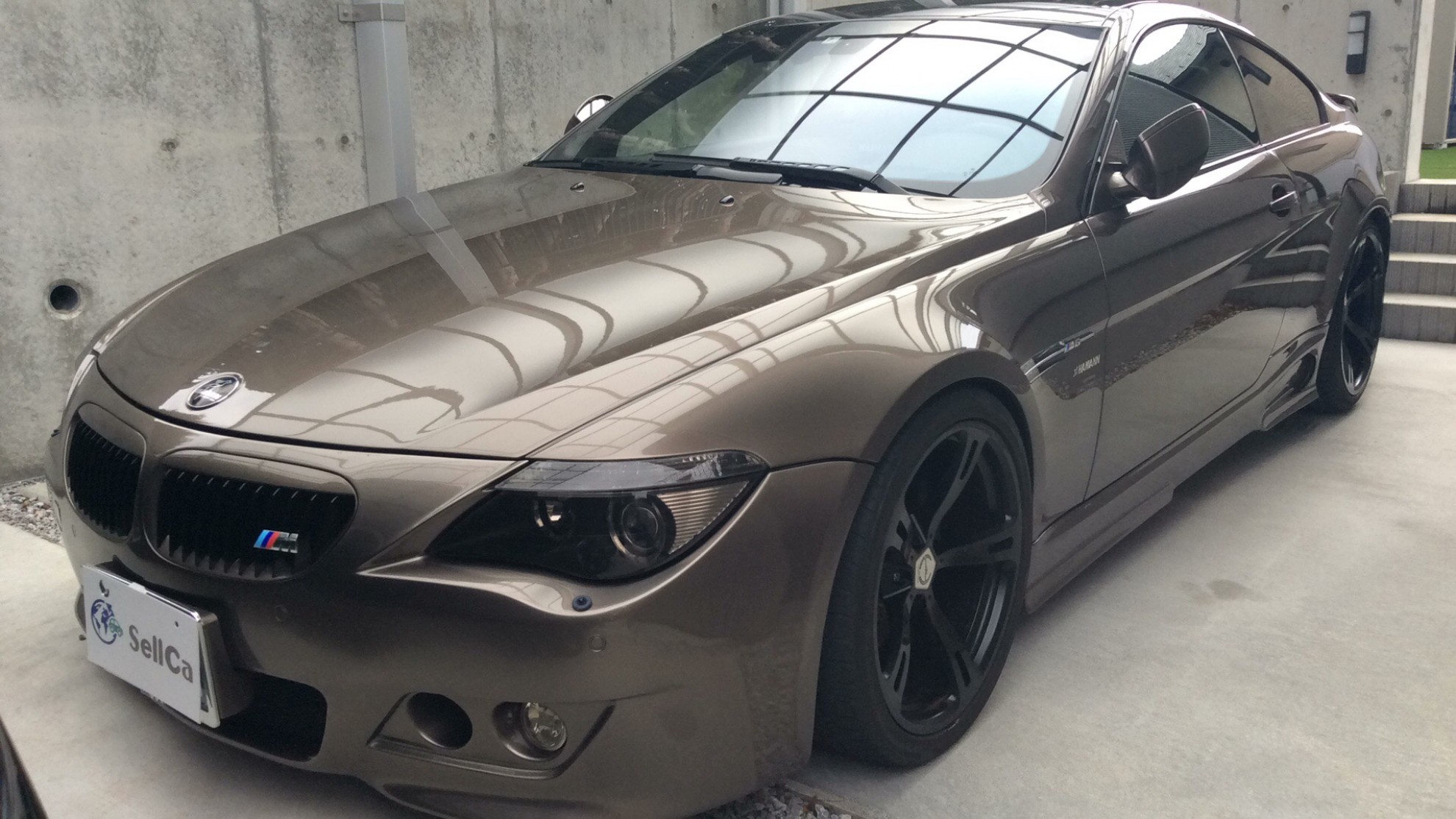 ＢＭＷ Ｍ６の売買実績画像