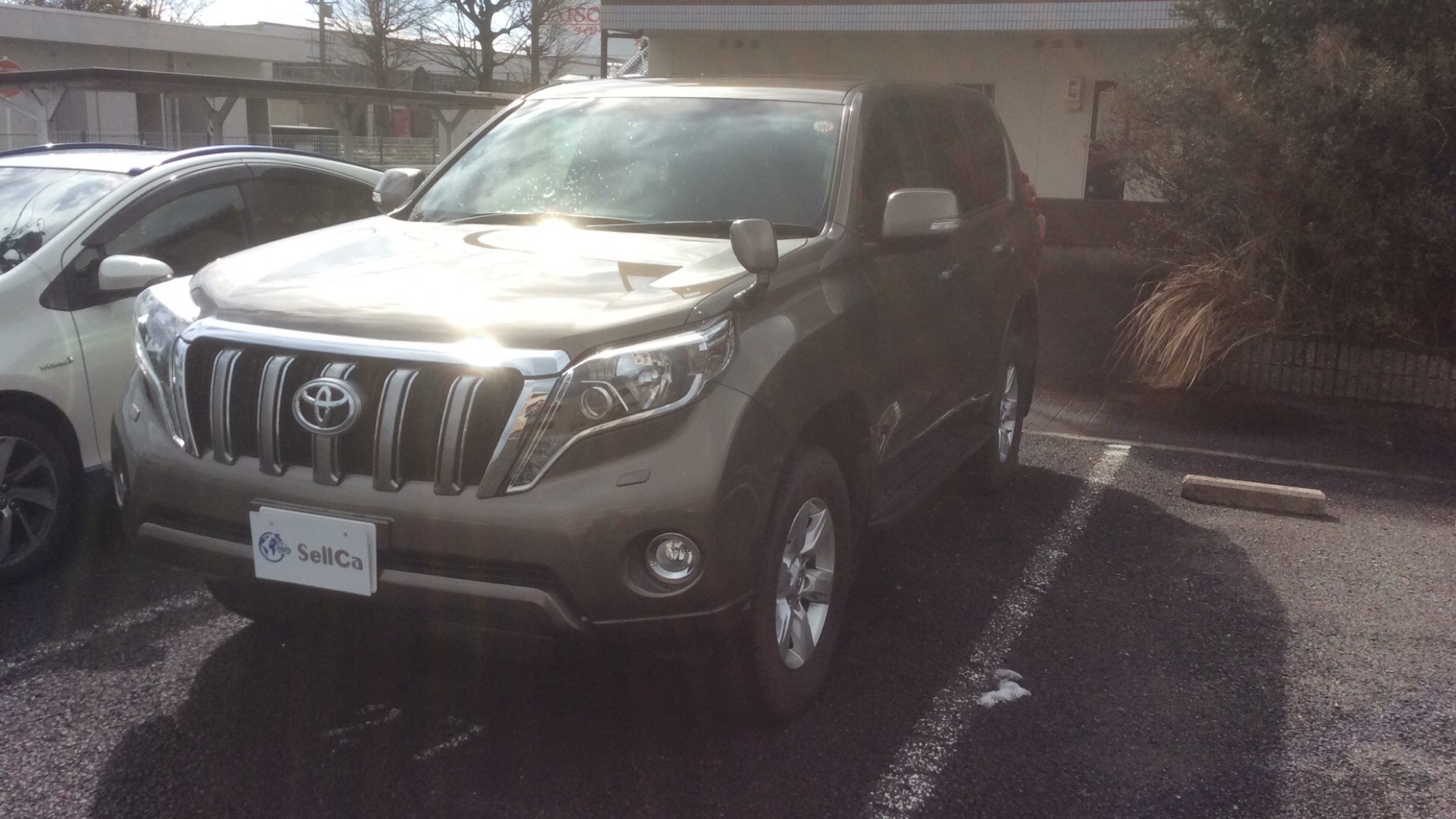 トヨタ ランドクルーザープラドの売買実績画像