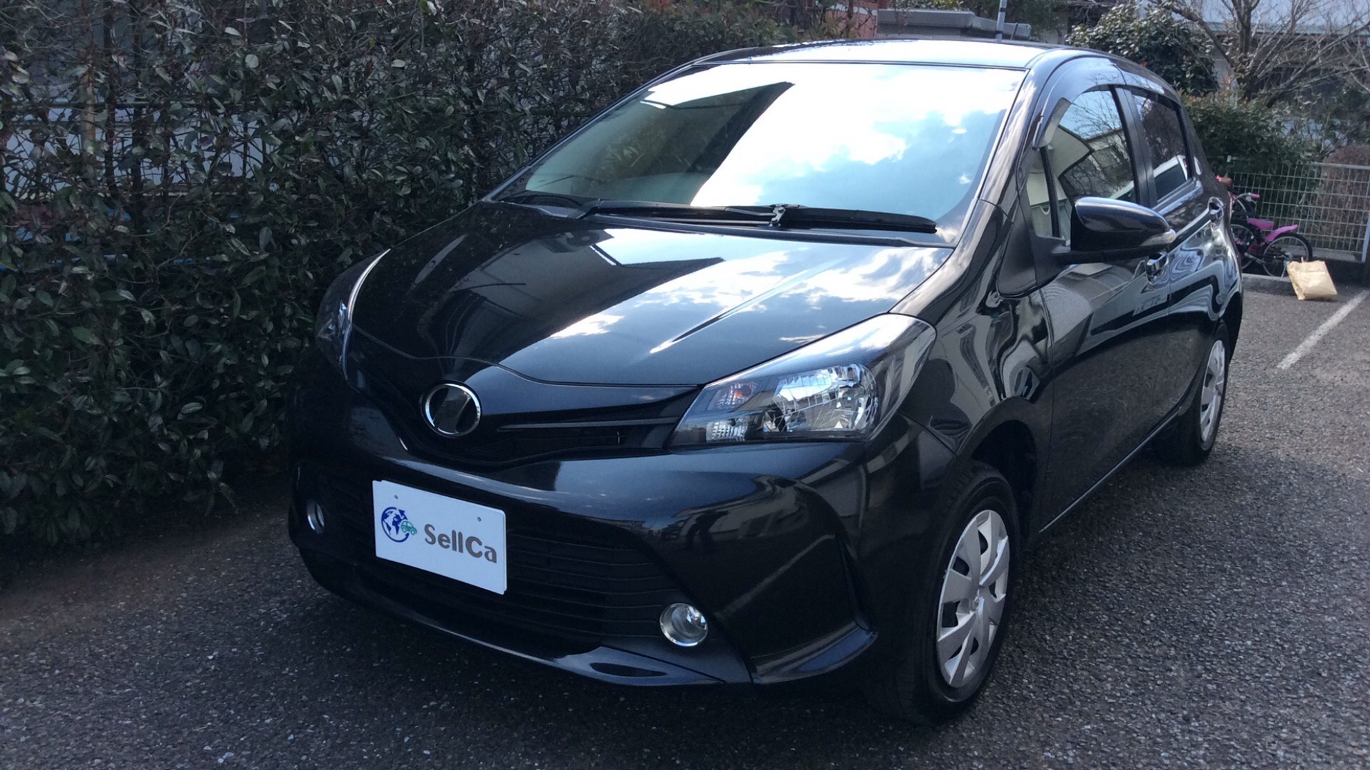 トヨタ ヴィッツの売買実績画像