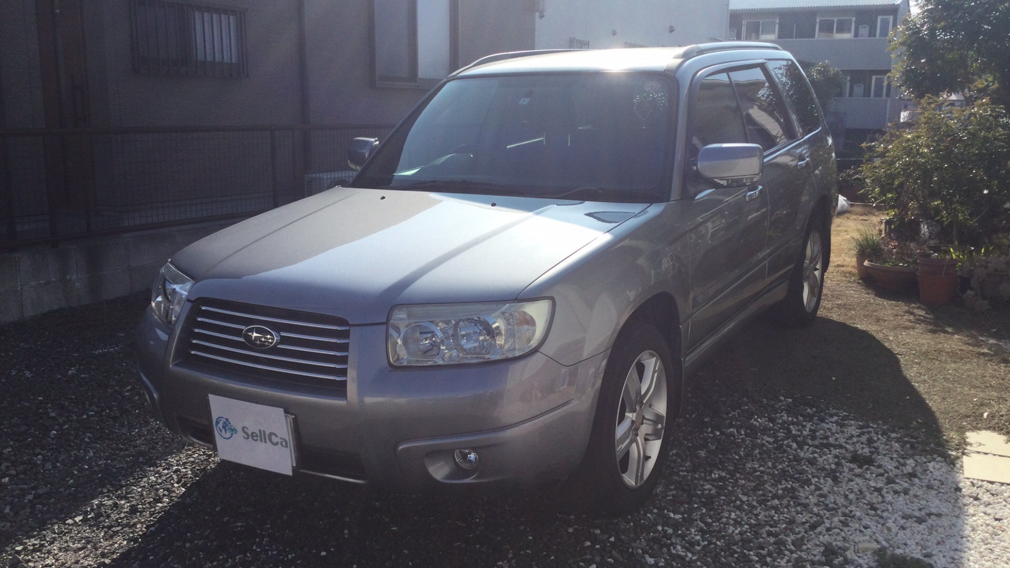 スバル フォレスターの売買実績画像