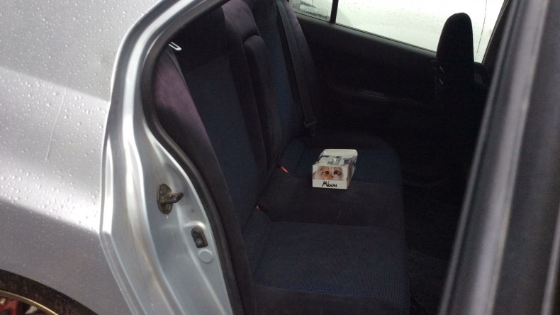 内装後方シート