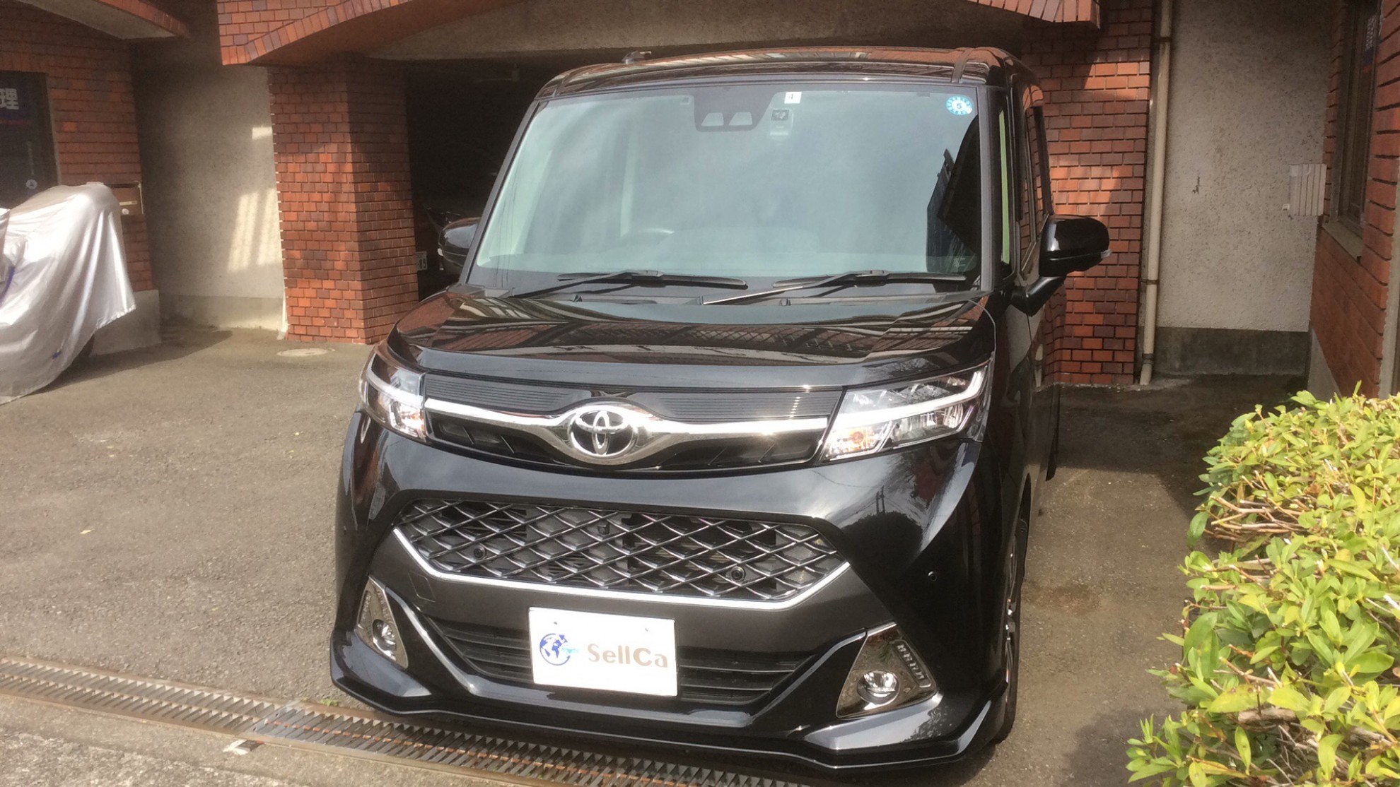 トヨタ タンクの売買実績画像