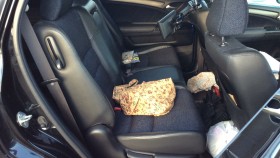 内装後方シート