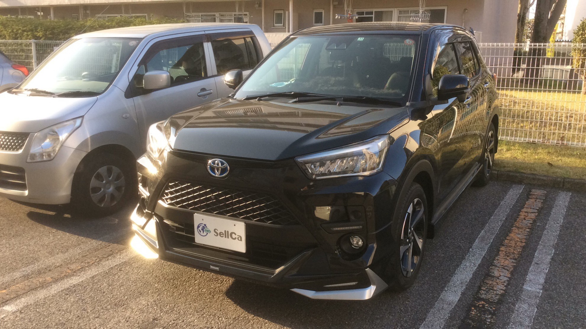 トヨタ ライズの売買実績画像