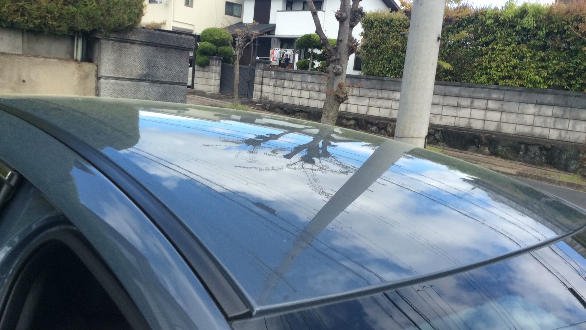 正面ルーフ