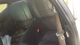 内装後方シート