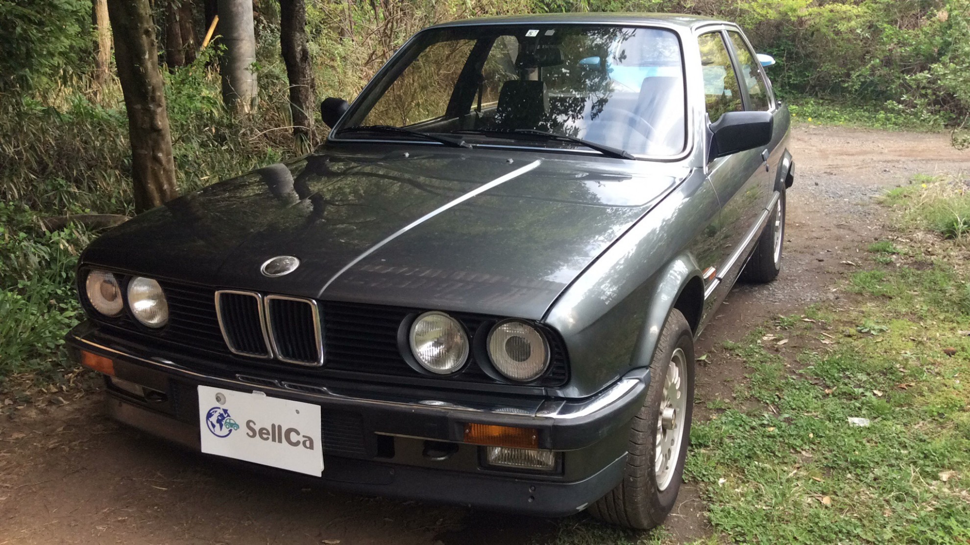 ＢＭＷ ３シリーズの売買実績画像