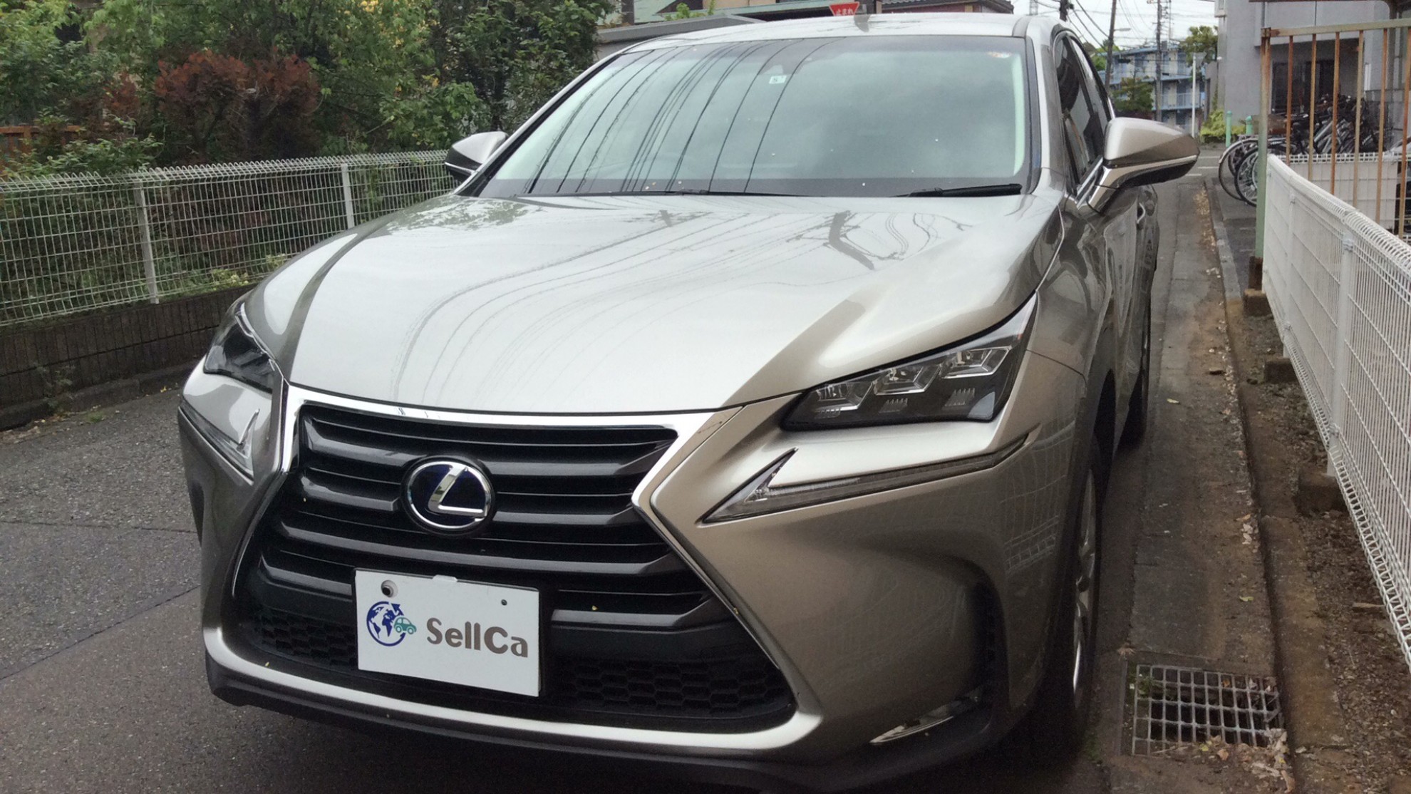 レクサス ＮＸの売買実績画像