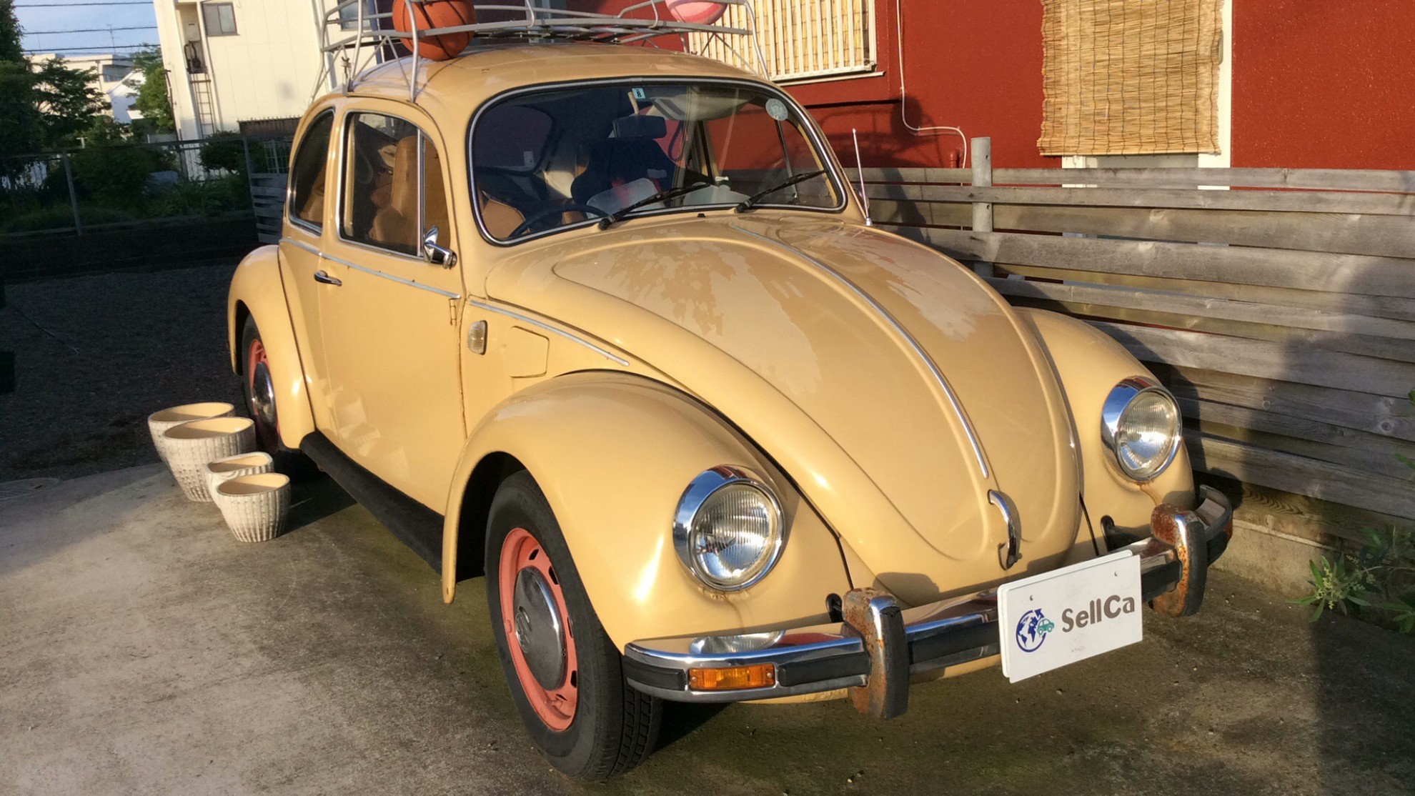 フォルクスワーゲン ビートルの売買実績画像