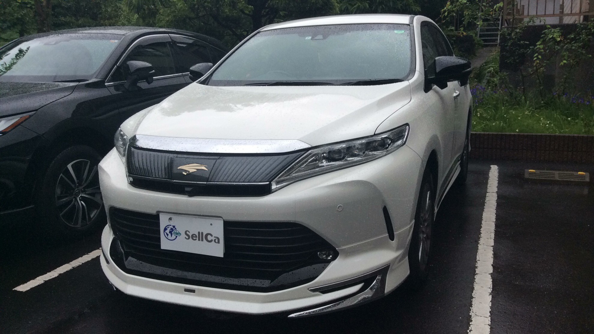 トヨタ ハリアーの売買実績画像