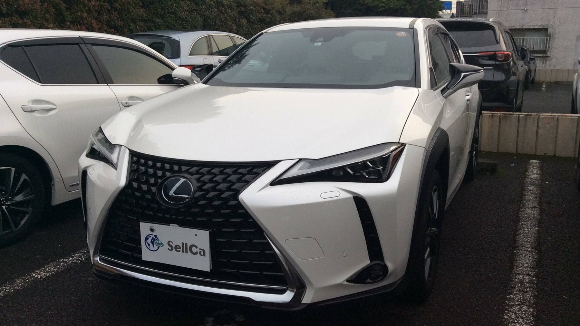 レクサス ＵＸの売買実績画像