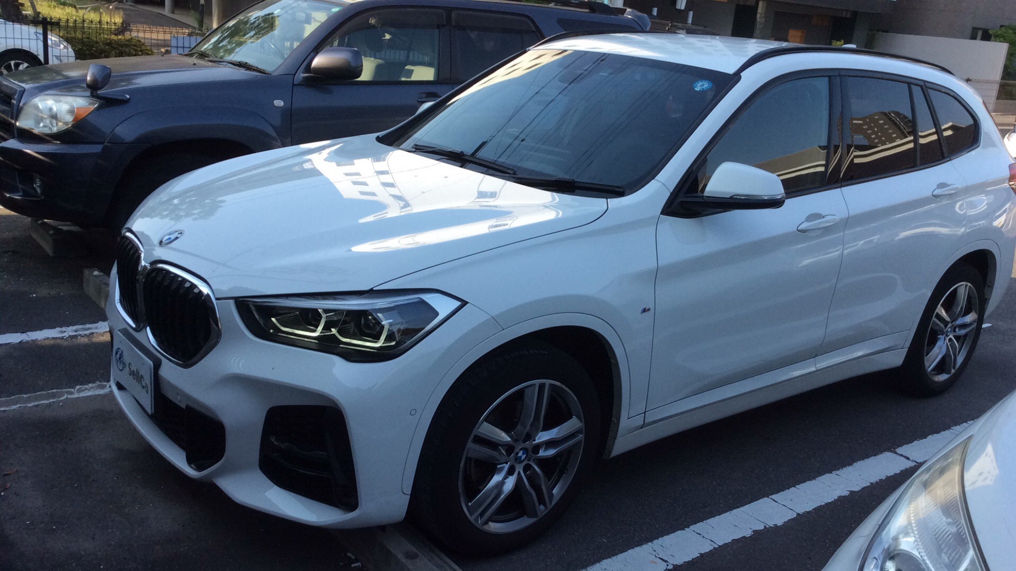 ＢＭＷ Ｘ１の売買実績画像