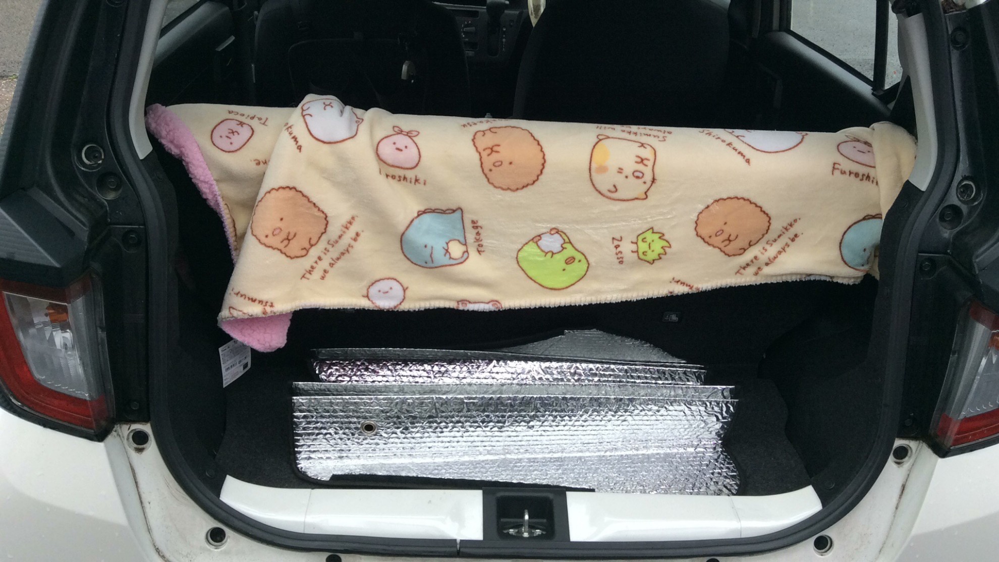 内装トランク