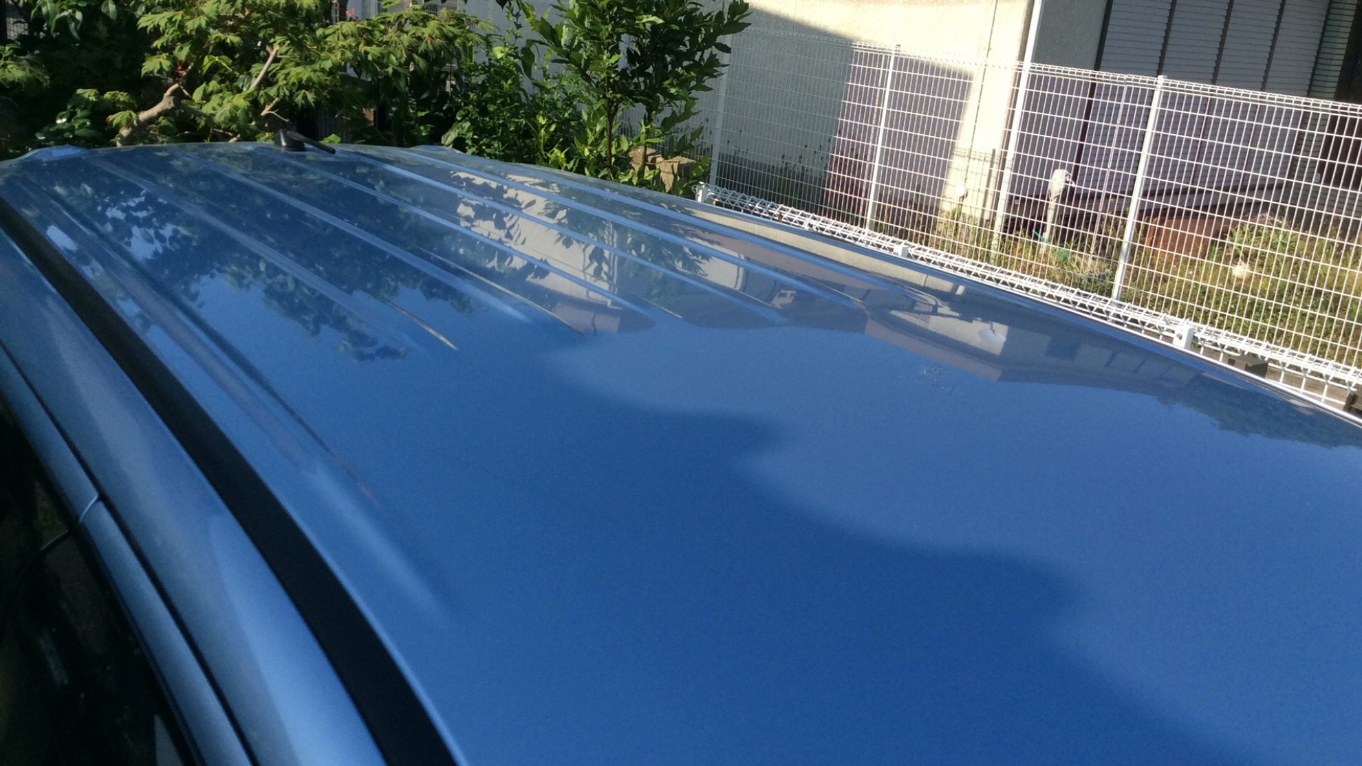正面ルーフ