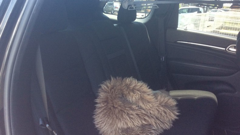 内装後方シート