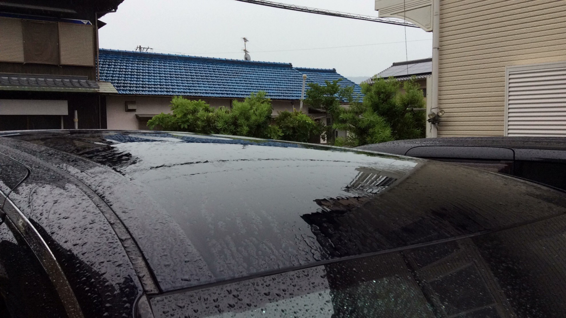 正面ルーフ