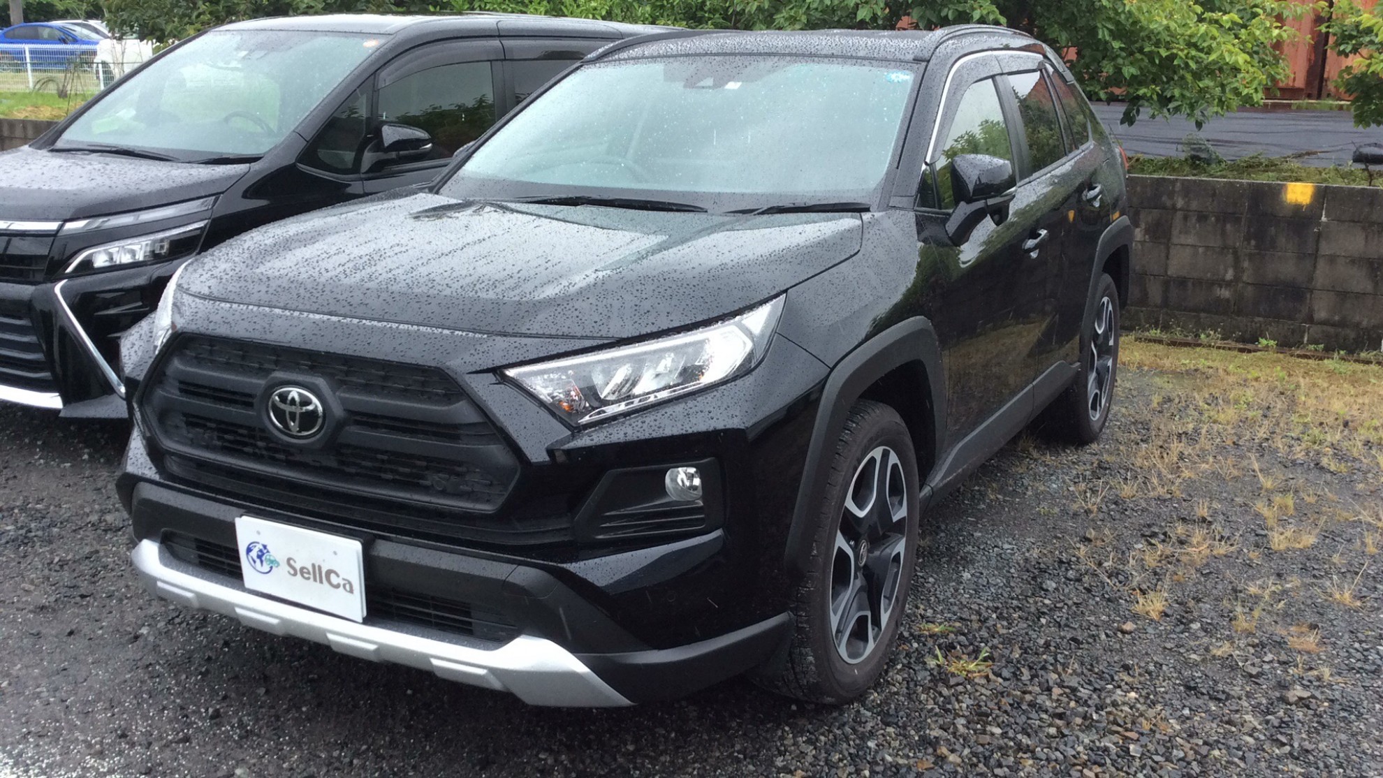 トヨタ ＲＡＶ４の売買実績画像