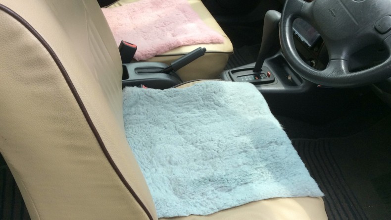 内装前方シート