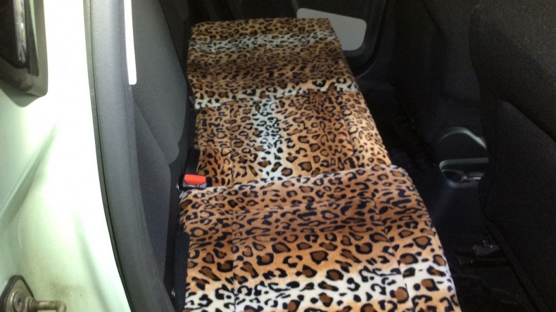 内装後方シート