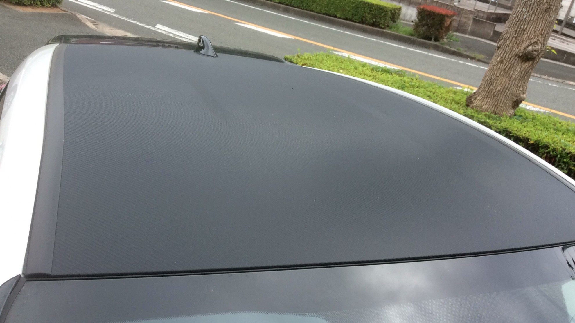 正面ルーフ