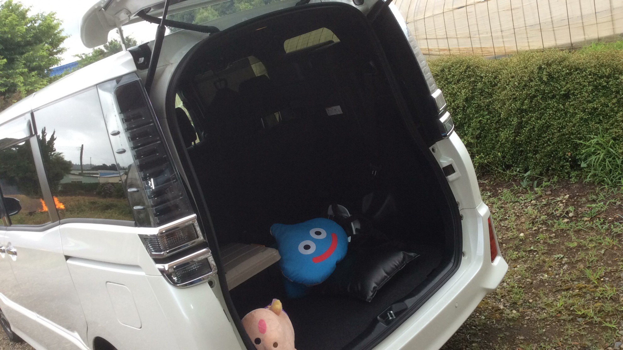 内装トランク