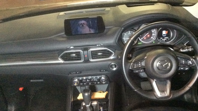 内装インパネ全体