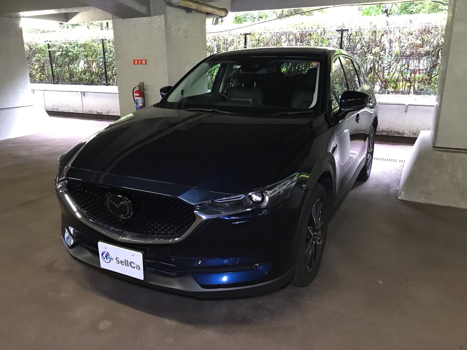 マツダ ＣＸ－５の売買実績画像