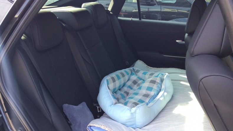 内装後方シート