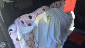 内装後方シート