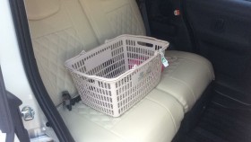 内装後方シート