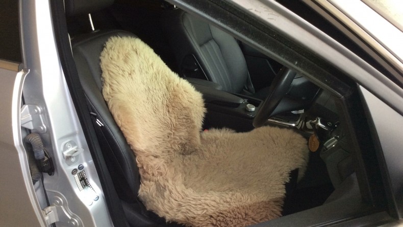 内装前方シート