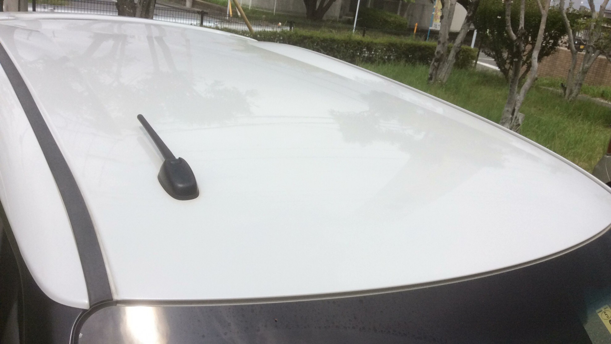 正面ルーフ