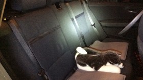 内装後方シート