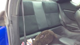 内装後方シート