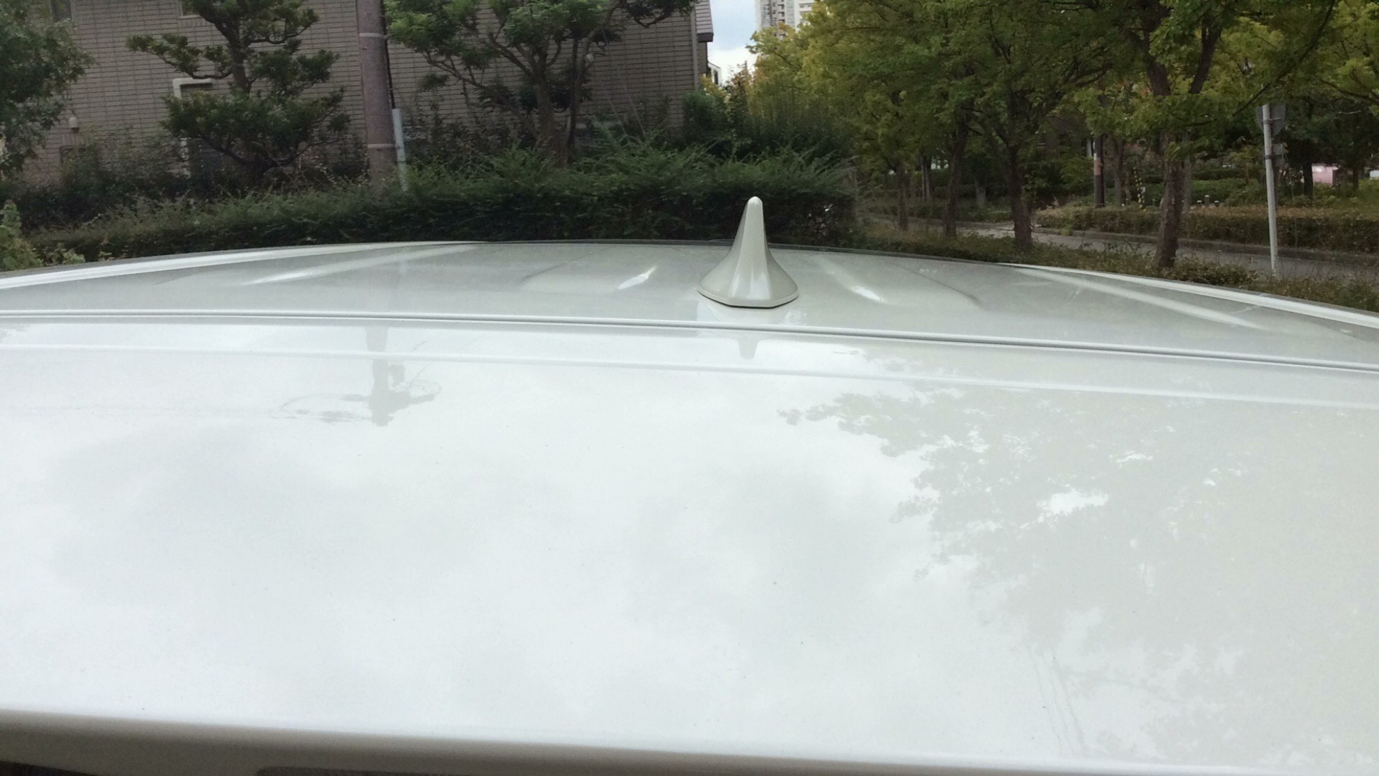 正面ルーフ