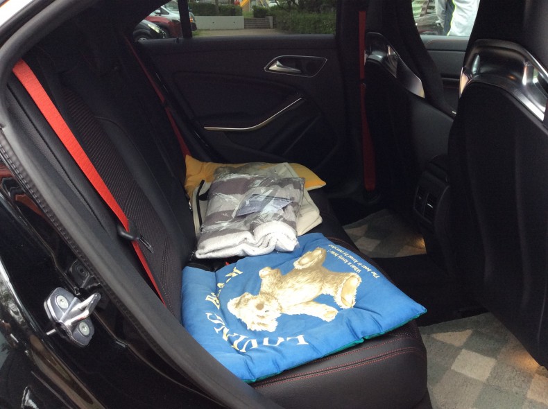 内装後方シート