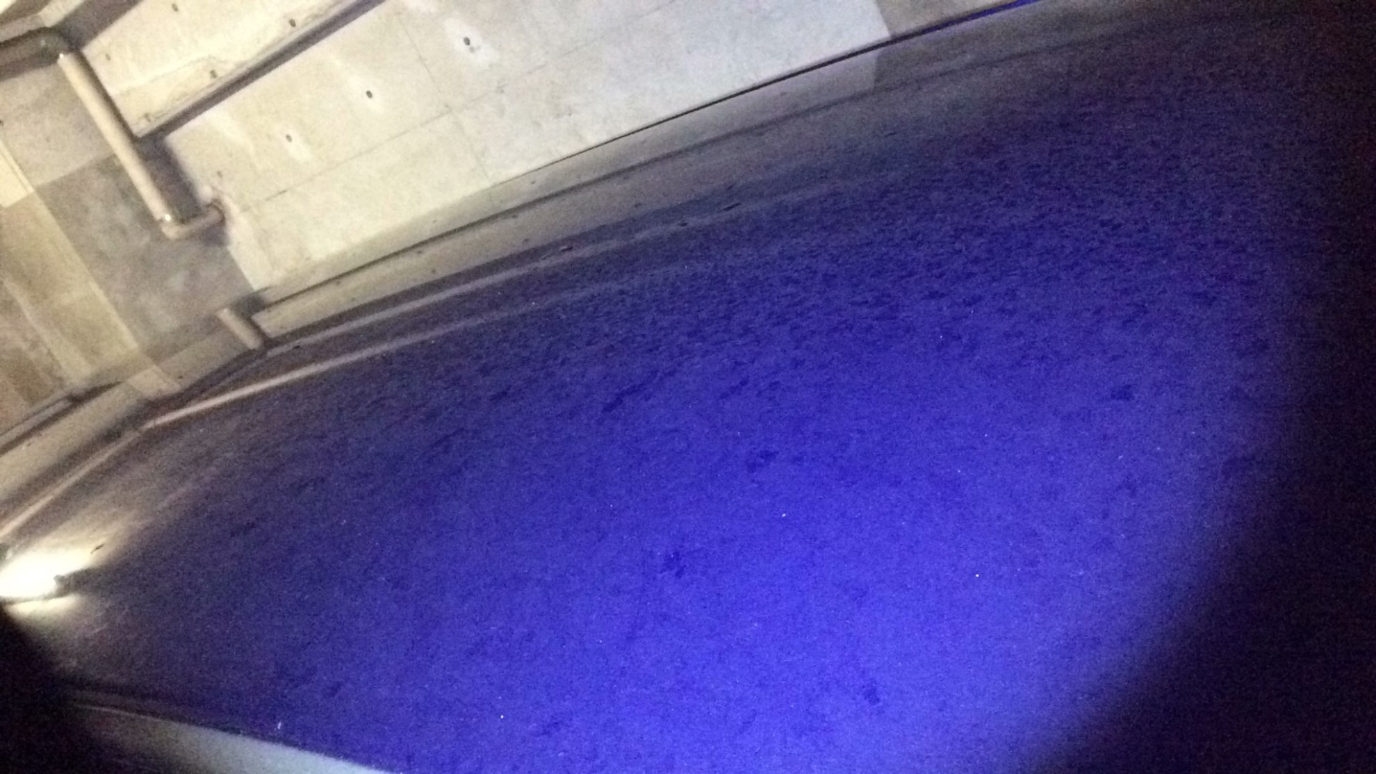 正面ルーフ